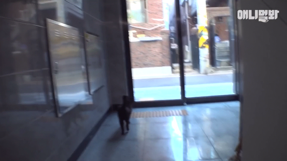 밤낮없이 집 도어락을 누르는 누군가때문에 고민인 부부 | 인스티즈