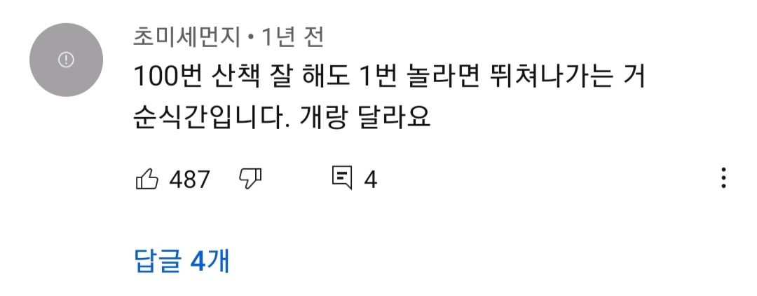 고양이 산책? 하지마!!!!! | 인스티즈