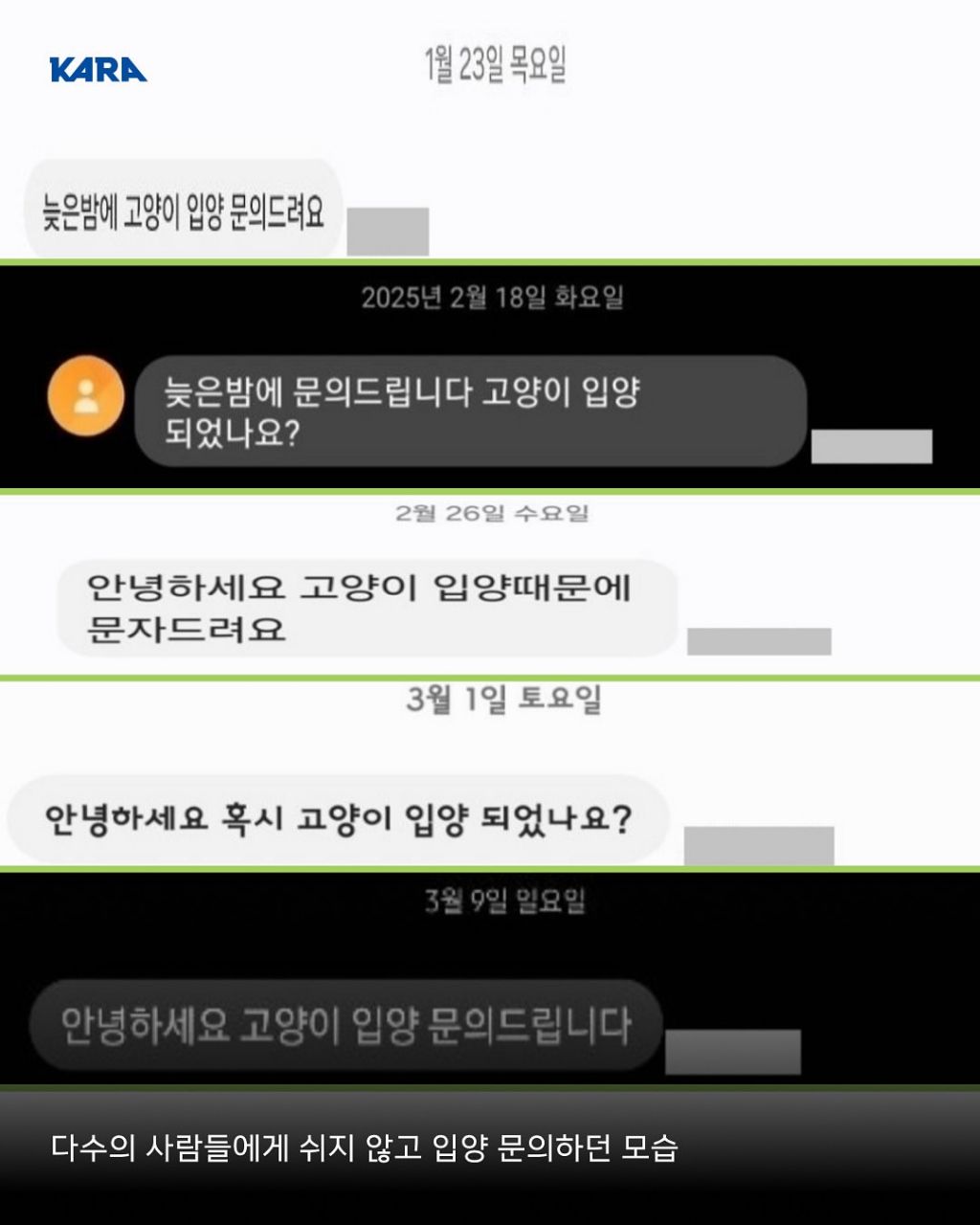 급)))부천에 입양가서 생사 안되는 고양이들이 있어요 제보받습니다 | 인스티즈