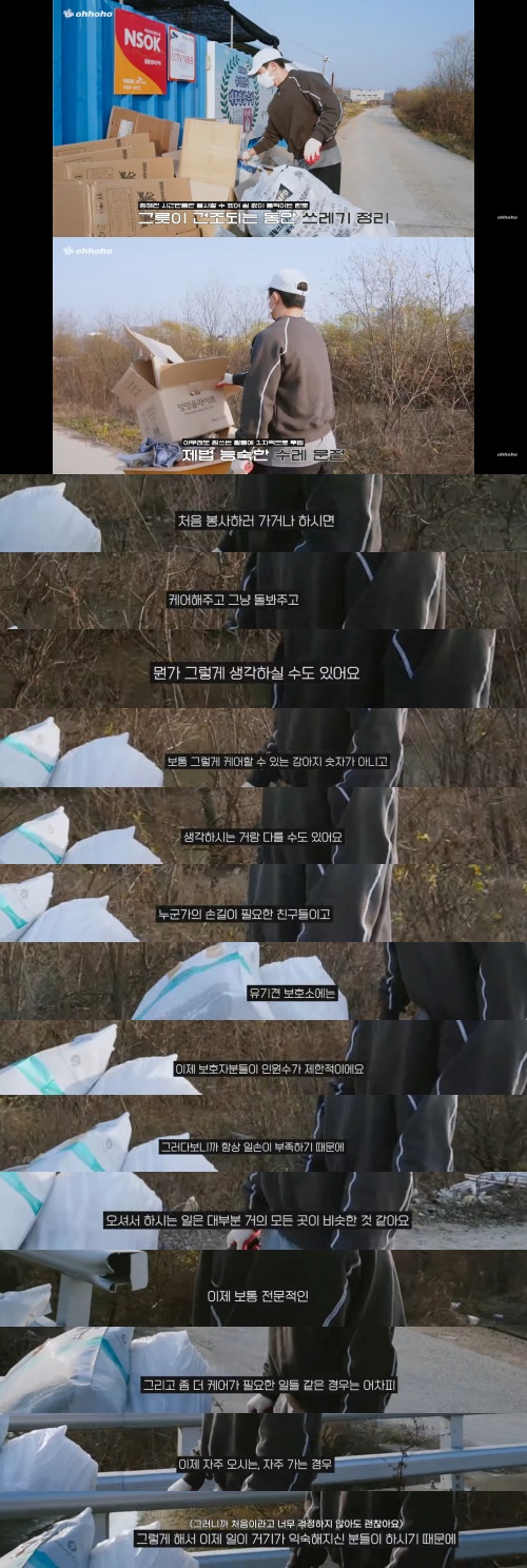 유기견 봉사 가면 어떤 일을 하는 지 알아보자 | 인스티즈