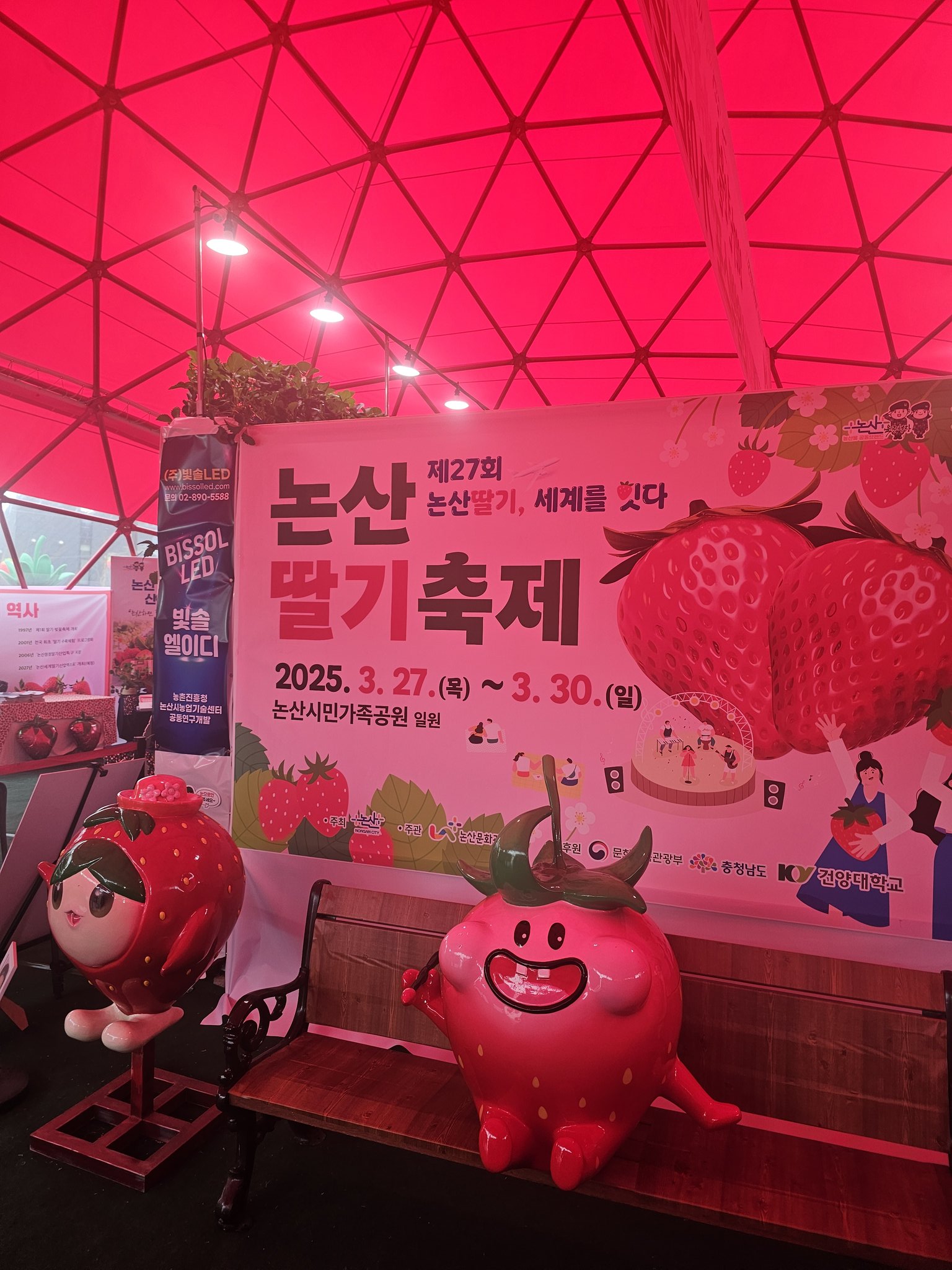 저희 아빠가 이번에 논산 딸기 축제에 부스를 내셨어요 열심히 준비하셨는데 손님이 없다고 속상해 하셔서 ㅠㅠ.twt | 인스티즈