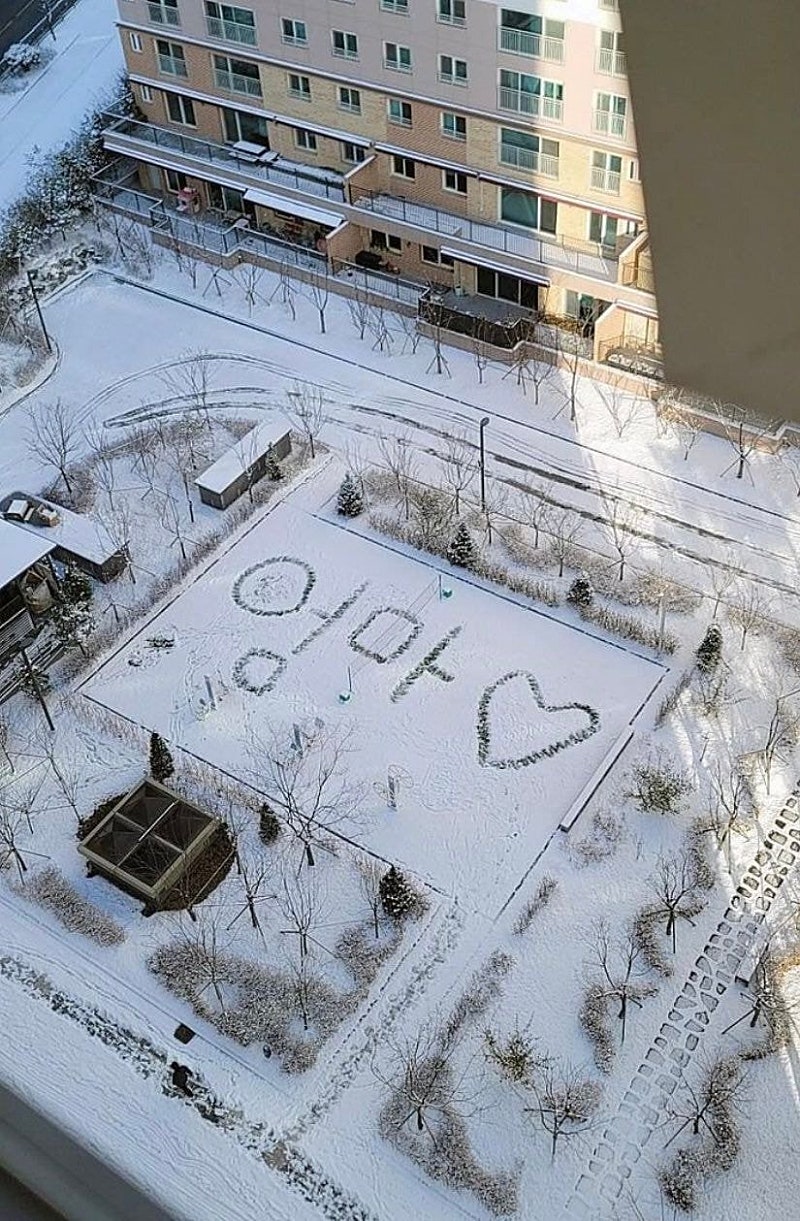 아파트 단지 공터에서 누가 엄마!!하고 소리 질러서 봤더니.jpg | 인스티즈