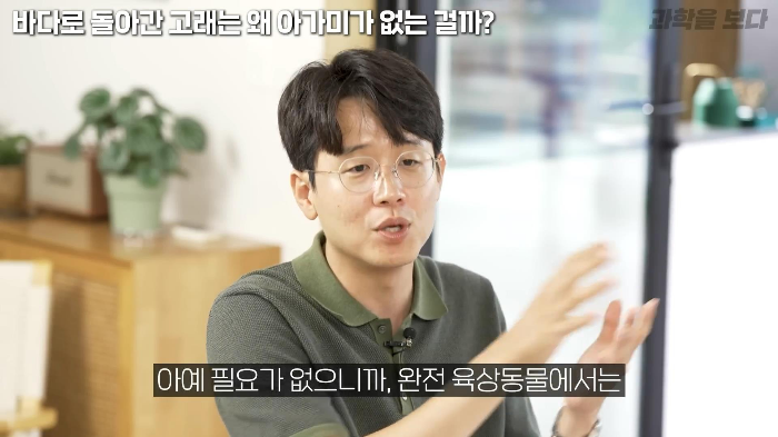 바다로 돌아간 고래는 왜 아가미를 만들지 못했는가 | 인스티즈