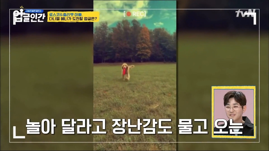 식용견 농장에서 구출된 다니엘 헤니의 강아지 로스코, 줄리엣 | 인스티즈