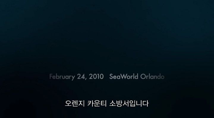 어느날 소방서에 고래가 조련사를 잡아 먹었다는 신고가 들어왔다 .jpg (스압주의) | 인스티즈