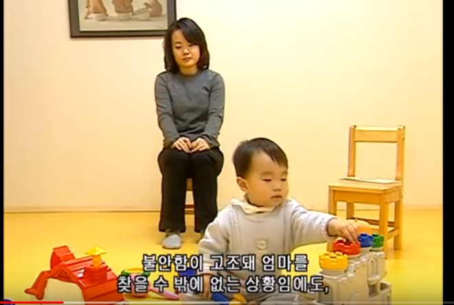 유아기에 형성되어 그 후 대인관계의 원형이 되는 부모와의 애착관계(안전,회피,혼란) | 인스티즈