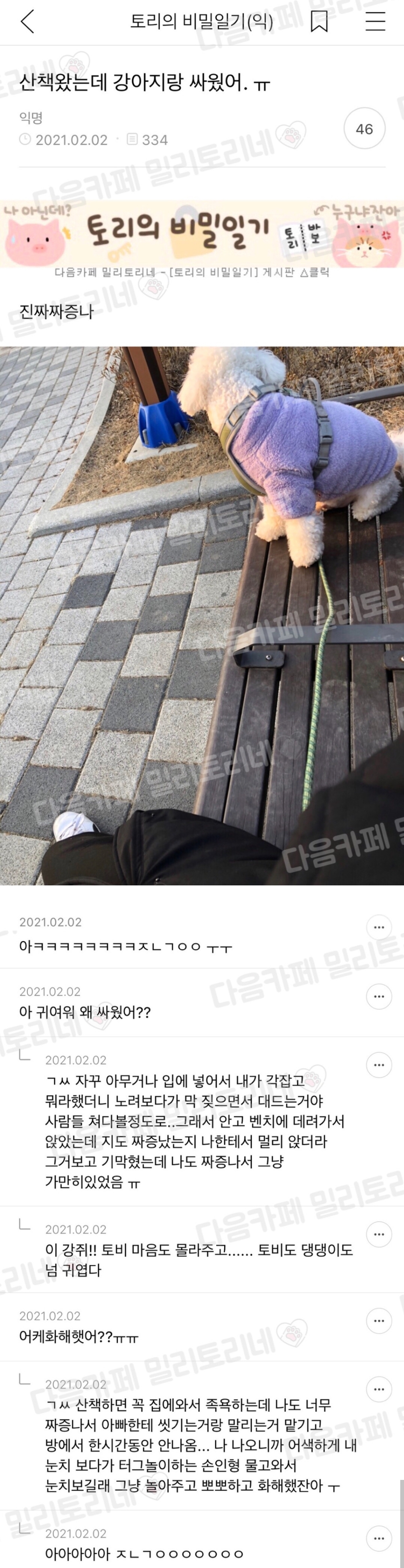 이거 셋 다 같은 강아지라고 함.jpg | 인스티즈