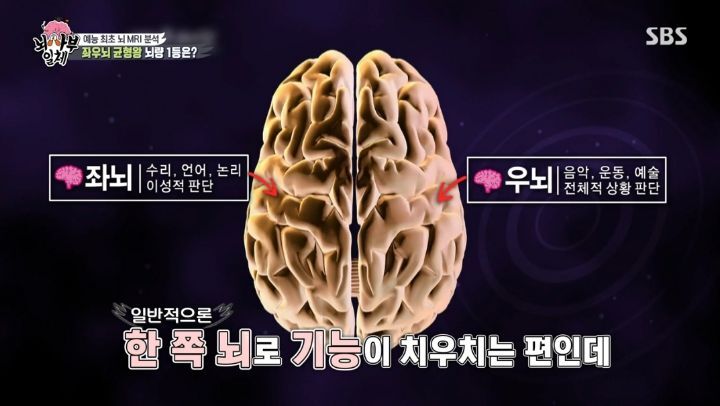 [집사부일체] 최고의 뇌과학자가 분석한 양세형, 리정, 이승기, 유수빈, 김동현 뇌 MRI 결과 | 인스티즈