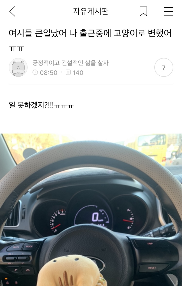 쫌쫌따리 모은 여캡 | 인스티즈