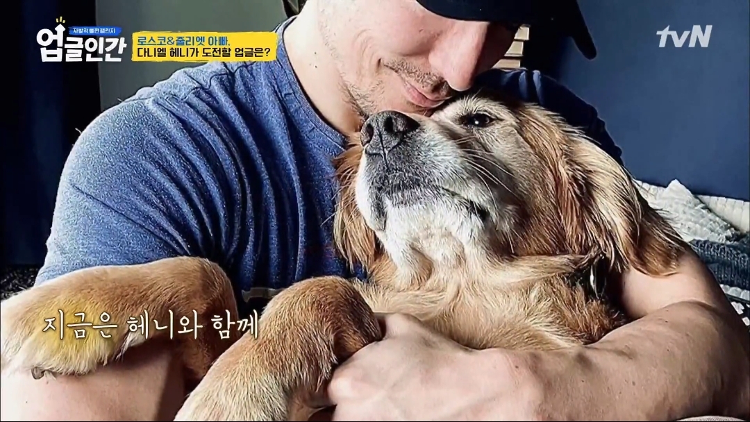 식용견 농장에서 구출된 다니엘 헤니의 강아지 로스코, 줄리엣 | 인스티즈