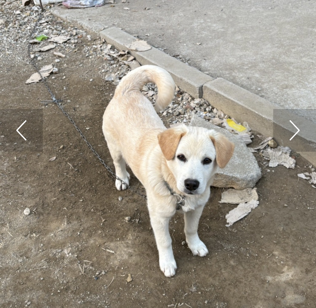 이사건 알아??정말 황당함ㅋㅋㅋㅋ | 인스티즈