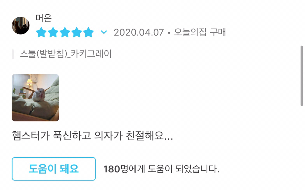 오늘의 집 웃긴 리뷰 모음 | 인스티즈