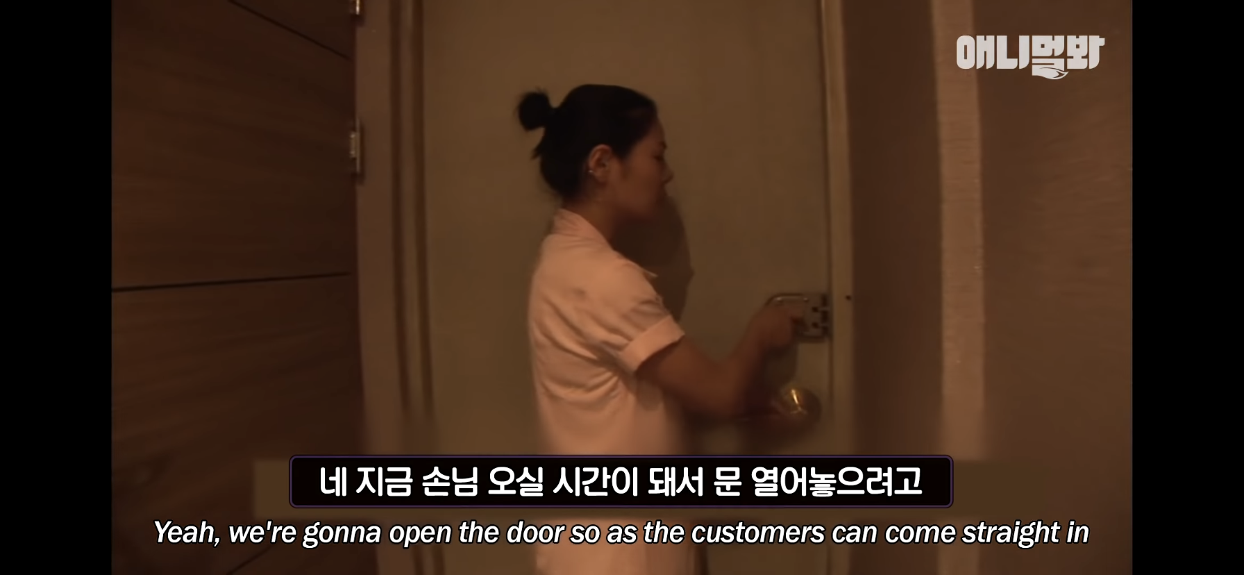 길고양이 목에 쪽지를 달자 생긴 영화같은 일 | 인스티즈