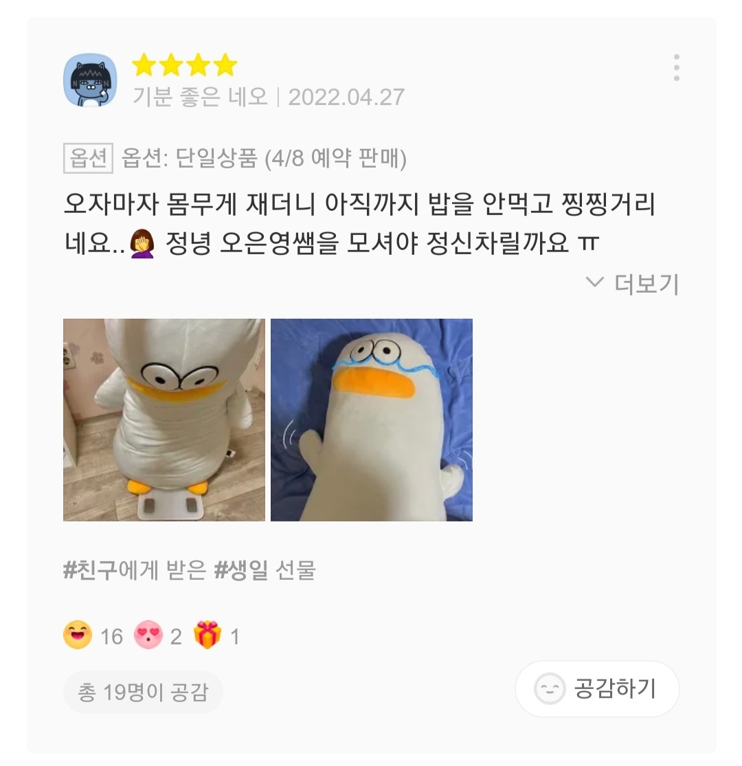재치있는 오둥이 바디필로우 리뷰들 | 인스티즈