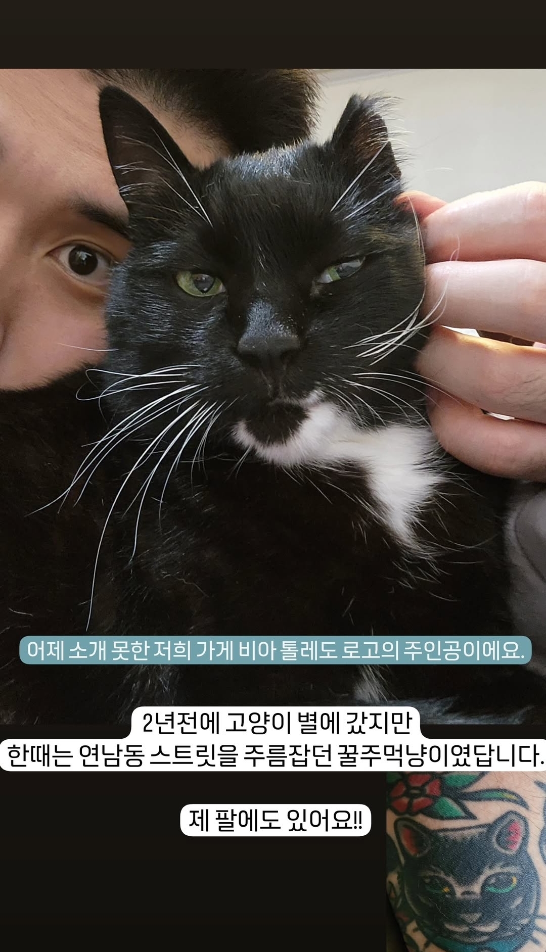 유기묘 보호소에 간식+사료 기부한 나폴리 맛피아 | 인스티즈