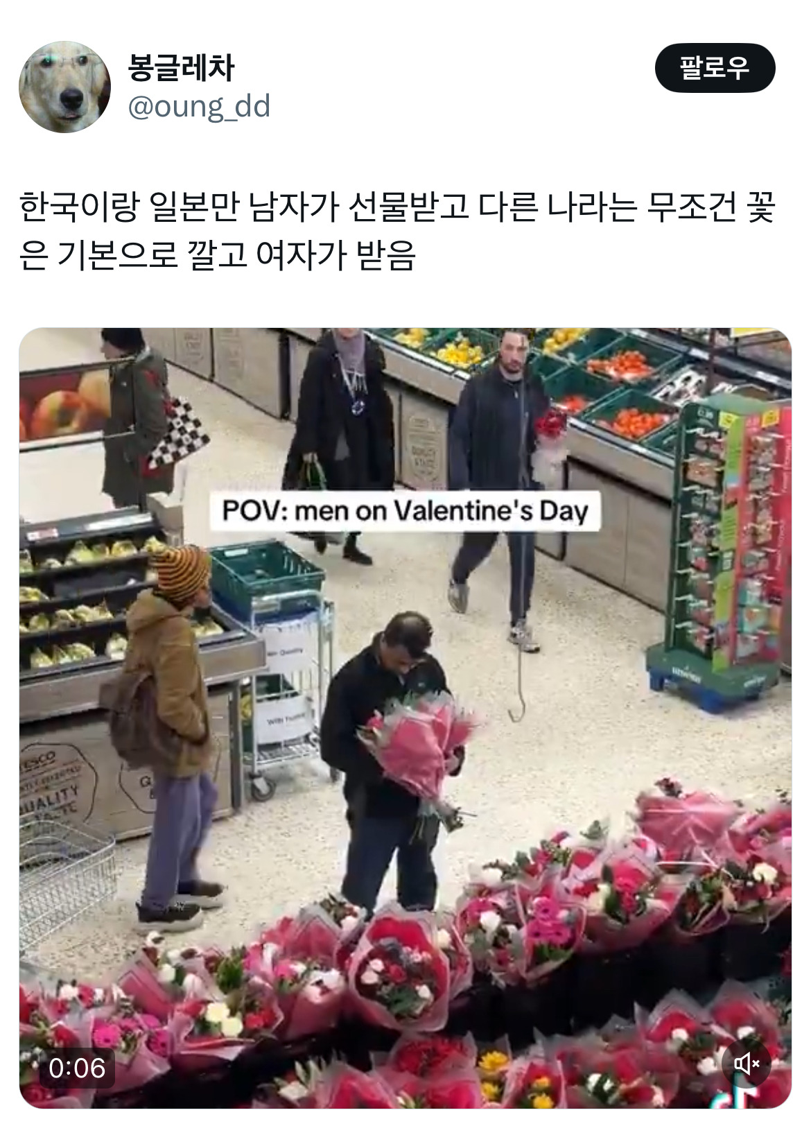 암컷이 성선택의 의무를 다해야 종이 진화할 수 있는데 한국 여자들은 눈이 발바닥에 붙어있어.twt | 인스티즈