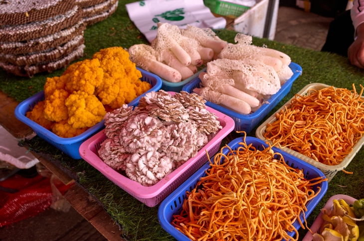 중국 운남성에 세계 최대 야생버섯시장이 있는데 | 인스티즈