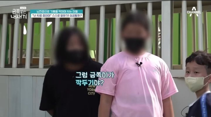 [금쪽같은내새끼] 뇌파전사 금쪽이 곁의 천사,"형이 너랑 매일 같이 있을 순 없어" | 인스티즈