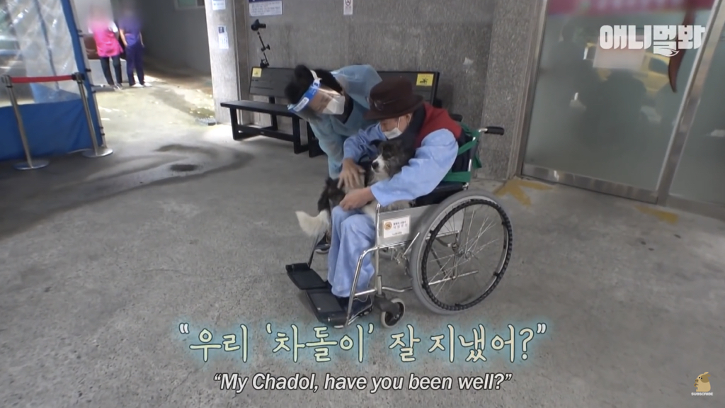 1년만에 자신을 두고 간 주인을 만난 강아지 반응 | 인스티즈