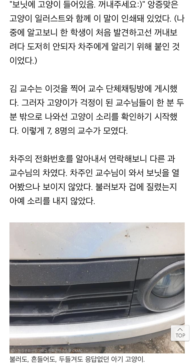 "차에 고양이 들어있음" 쪽지에 우르르 몰려나온 교수님들, 그 이후 | 인스티즈