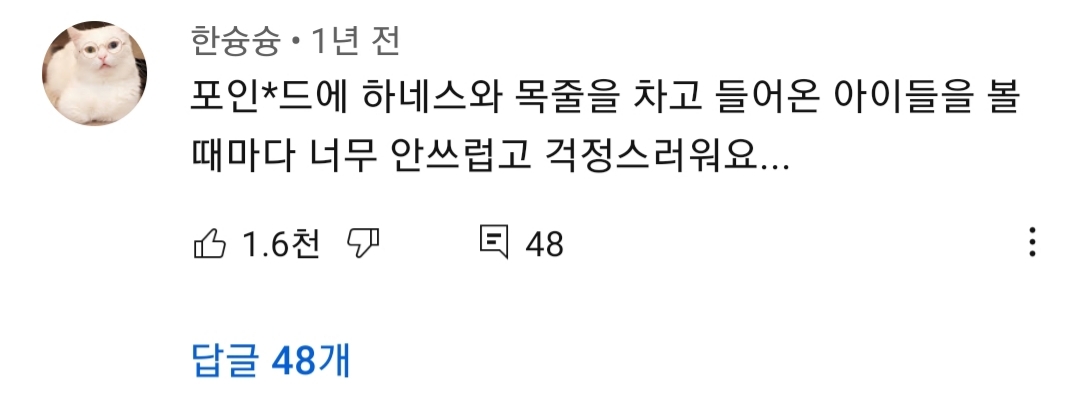 고양이 산책? 하지마!!!!! | 인스티즈