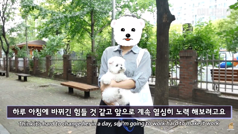 돌멩이를 물고 다니는 강아지 | 인스티즈