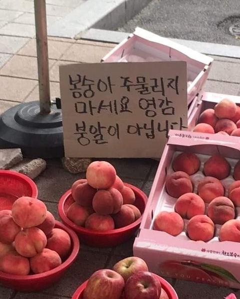 피식짤 모음 | 인스티즈
