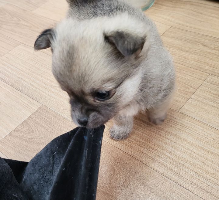 (공지라니... ++추가)새로생긴 회사 복지.. 미쳐서 도저히 일을 못하겠네.. (추가....)++추가 | 인스티즈