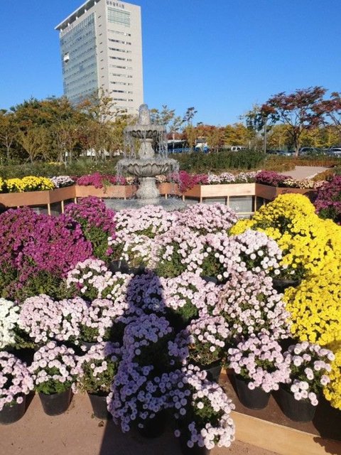 광주광역시 시청이 이 모양으로 지어진 이유 | 인스티즈
