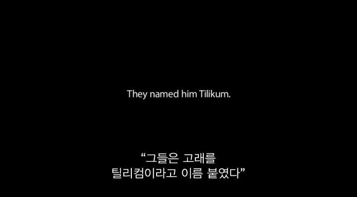 어느날 소방서에 고래가 조련사를 잡아 먹었다는 신고가 들어왔다 .jpg (스압주의) | 인스티즈