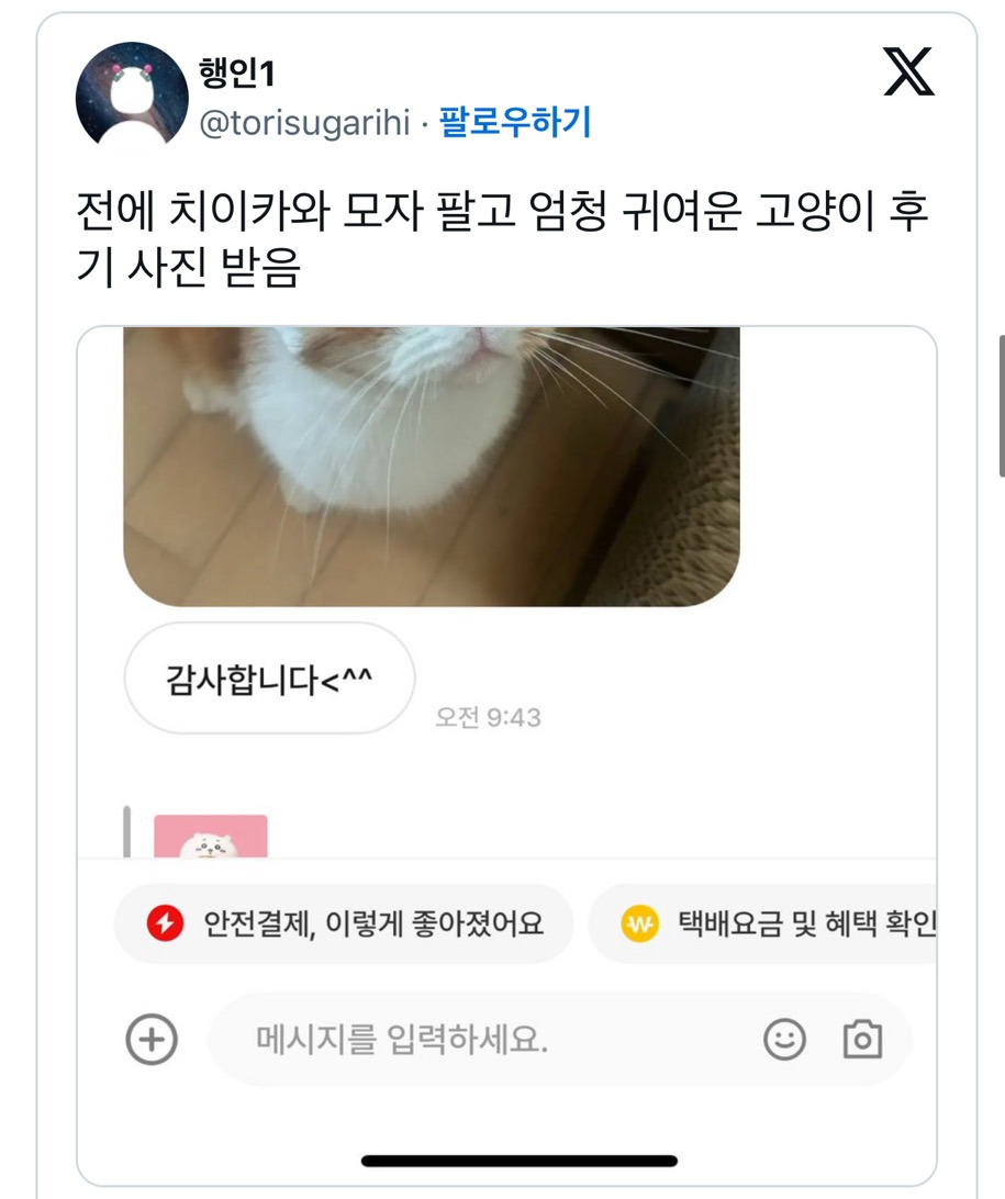 중고거래 구매자가 자꾸 이모티콘을 보내서 무서웠는데 알고 보니 고양이였음.twt (귀여우니까 보고 힐링해) | 인스티즈