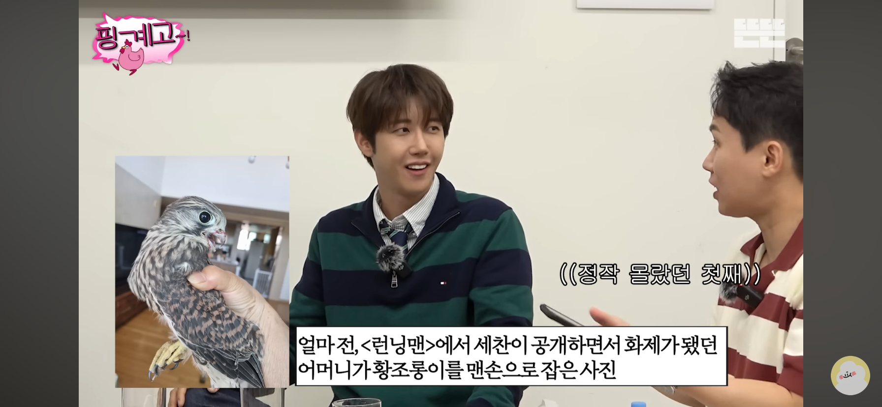 [핑계고] 대장부셨던 양세형 어머니 썰ㅋㅋㅋㅋㅋㅋㅋㅋ.jpg | 인스티즈