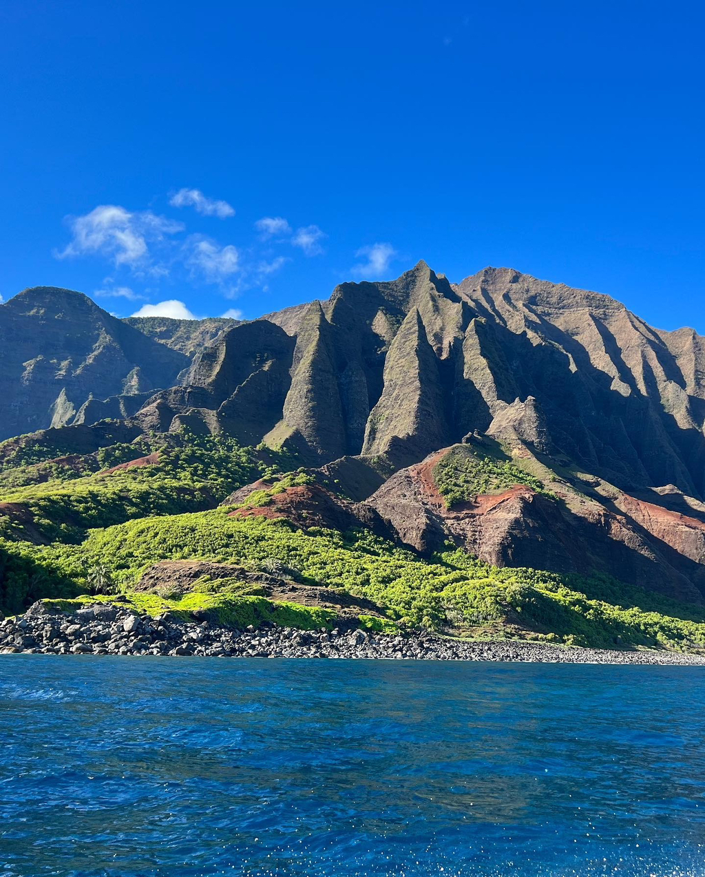 하와이에 사는 사람들이 올린 사진들 | 인스티즈