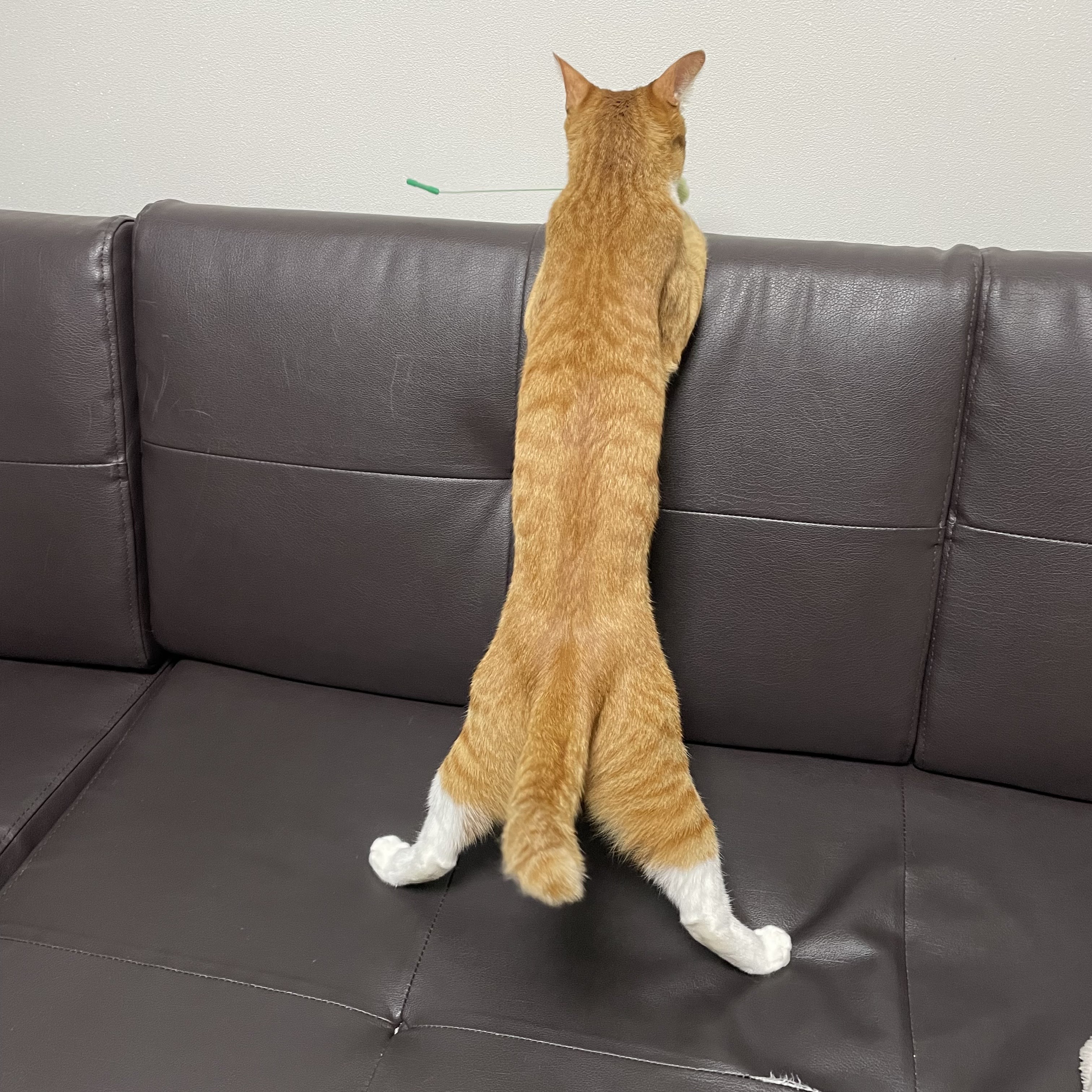 가... | 인스티즈