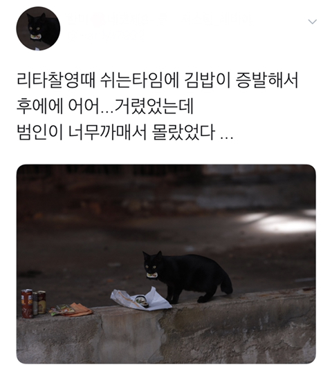 김밥도둑 이미지