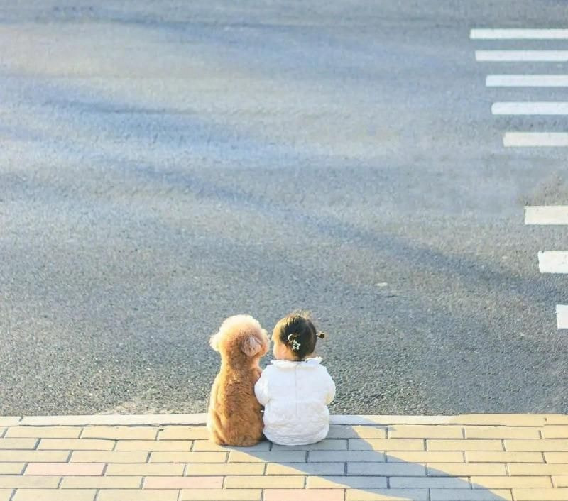 딸 키우는 집에서 강아지를 키우면 생기는 일 | 인스티즈