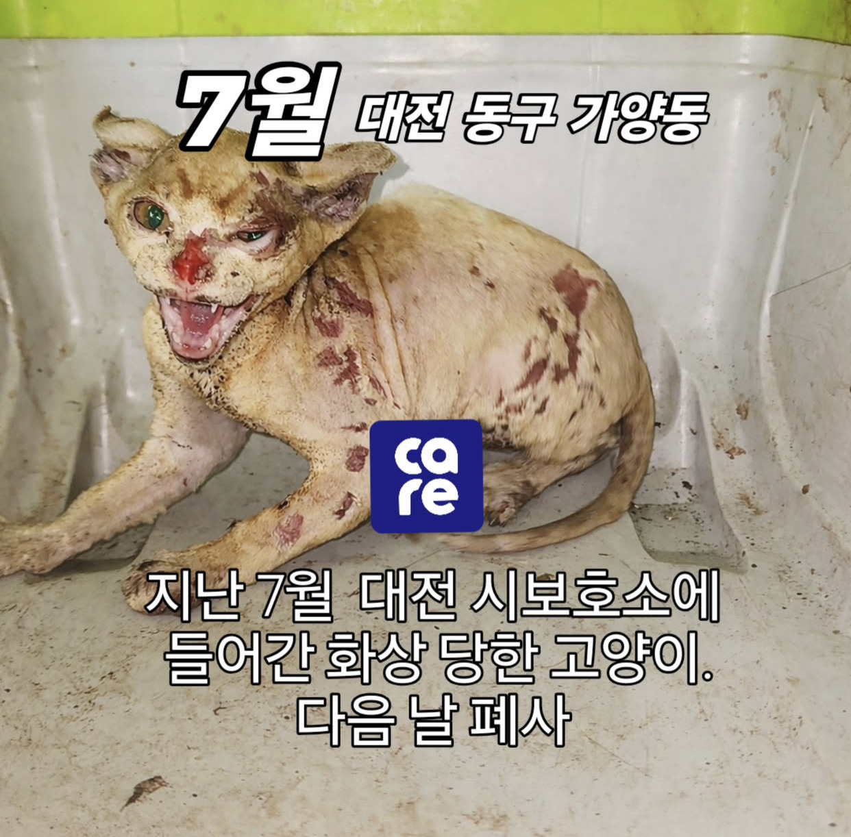 현재 사례금 500만원 걸린 사건(사진 주의) | 인스티즈