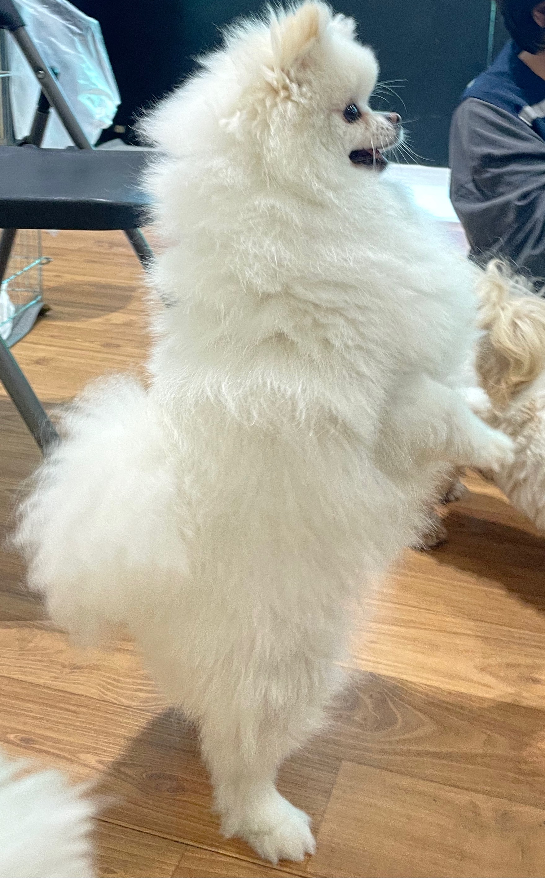 봉사 갈수록 애기들 아는척 하는 거 너무 귀여워.. | 인스티즈