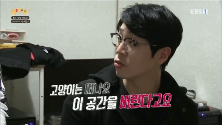 개 전문가와 고양이 전문가 인상 차이 | 인스티즈