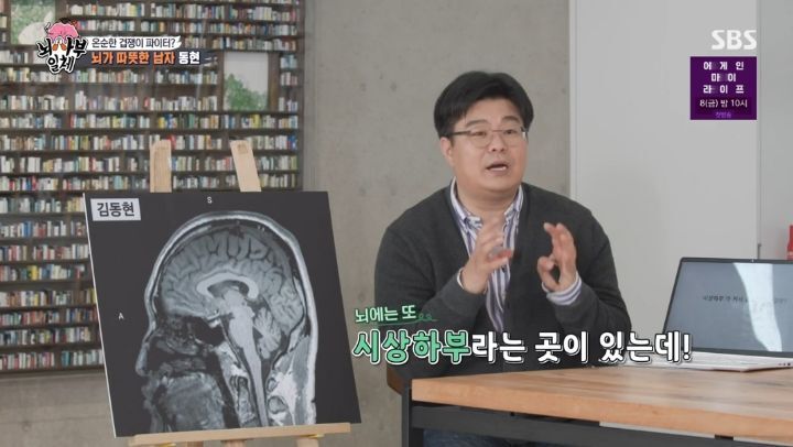 [집사부일체] 최고의 뇌과학자가 분석한 양세형, 리정, 이승기, 유수빈, 김동현 뇌 MRI 결과 | 인스티즈