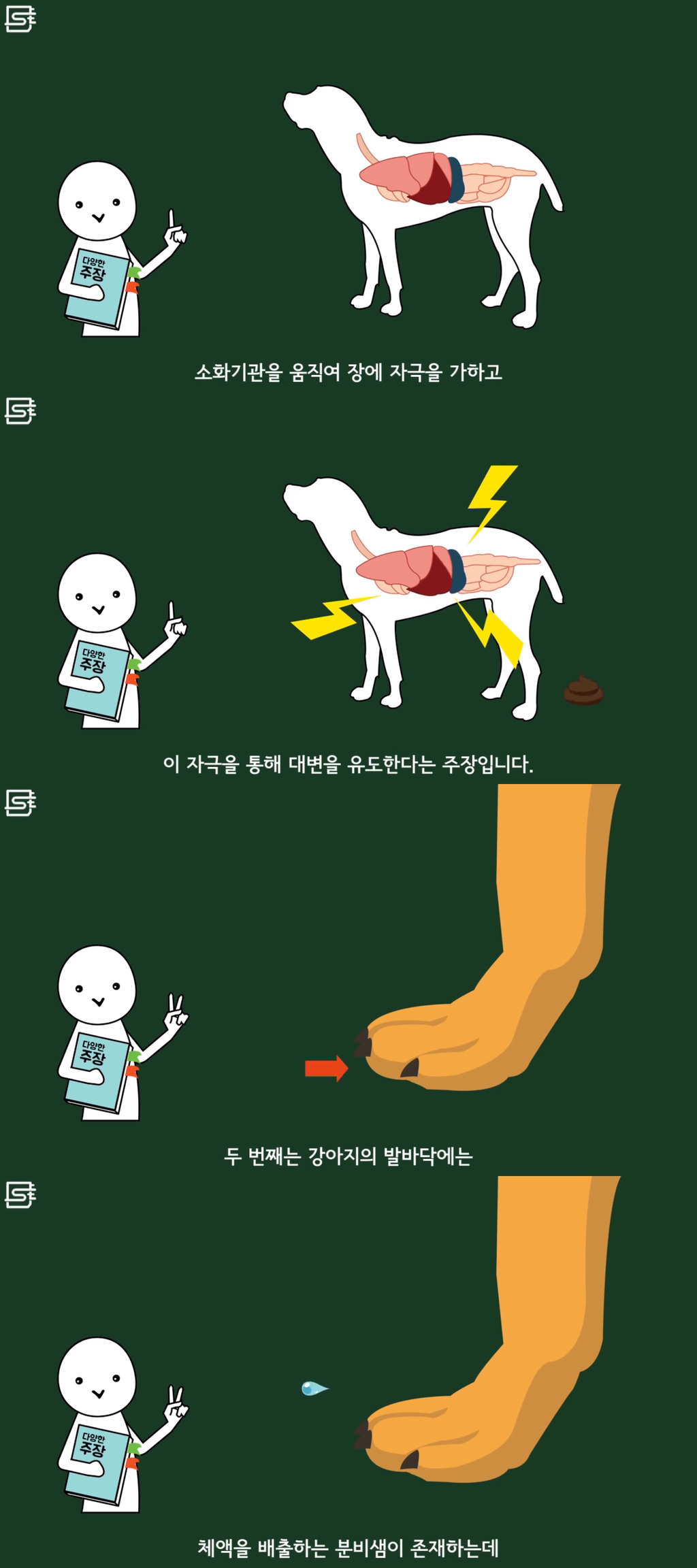 강아지는 왜 똥을 싸기 전에 빙글빙글 돌까? | 인스티즈