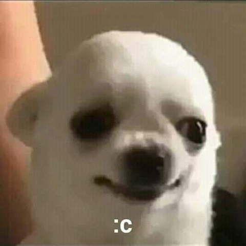큐티 이미지