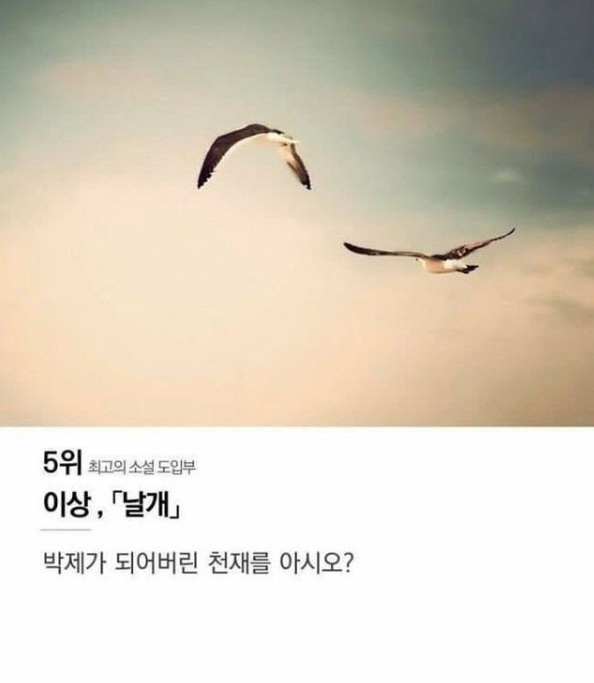 최고로 평가된 소설 도입부 top 10 | 인스티즈