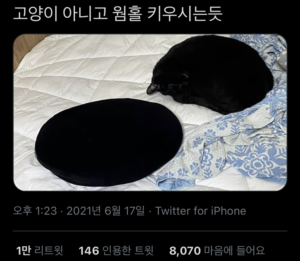 아주 아주 짧은 트윗모음.twt | 인스티즈