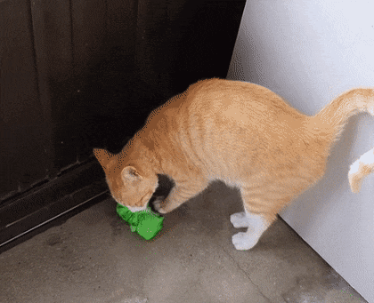 3e6da4d4656ffc5b9cdb2d4212119583e6b9b342