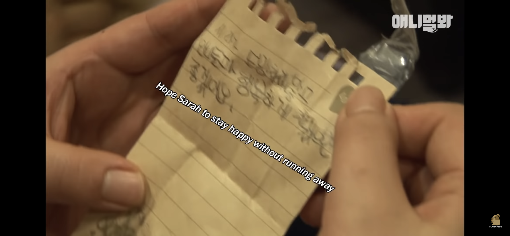 길고양이 목에 쪽지를 달자 생긴 영화같은 일 | 인스티즈