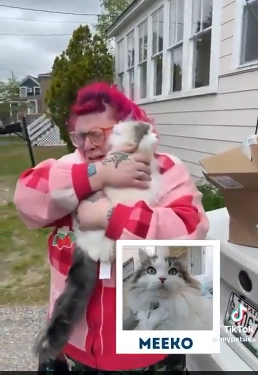 반려동물의 살아생전 모습을 한 인형을 받으며 오열하는 주인들 | 인스티즈