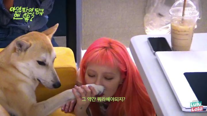 강아지 발꼬순내 좋아하는 현아.jpg | 인스티즈