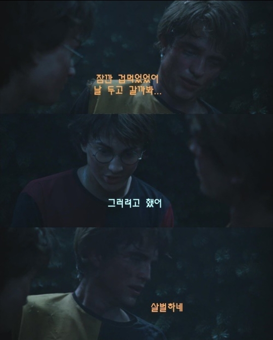 [해리포터] 영화 캡쳐본으로 보는 해리포터성격 | 인스티즈