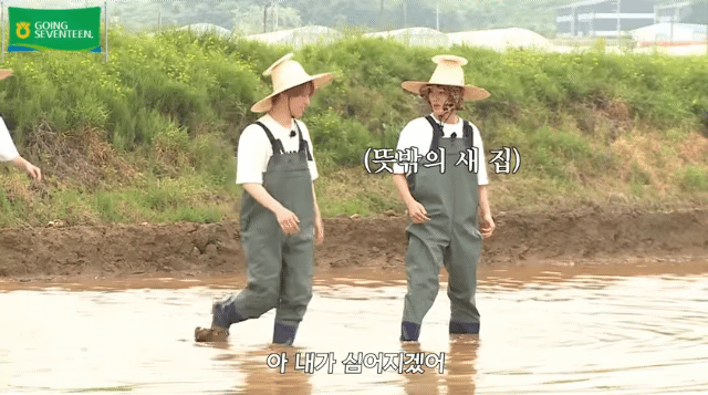 아이돌 자체컨텐츠 팀이랑 아이돌이랑 잘 맞을때 gif | 인스티즈